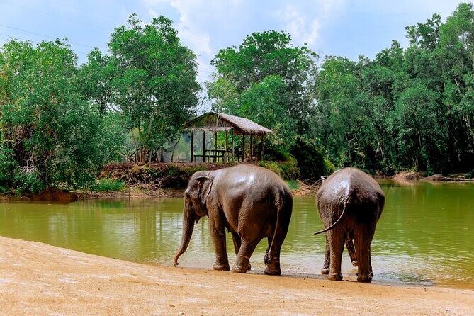 Elephant Sanctuary Small Group Tour in Phuket - Final Thoughts: Who Is This Tour Best For?