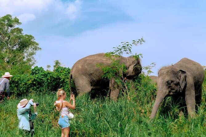 Elephant Sanctuary Small Group Tour in Phuket - The Practical Side: Value and Logistics