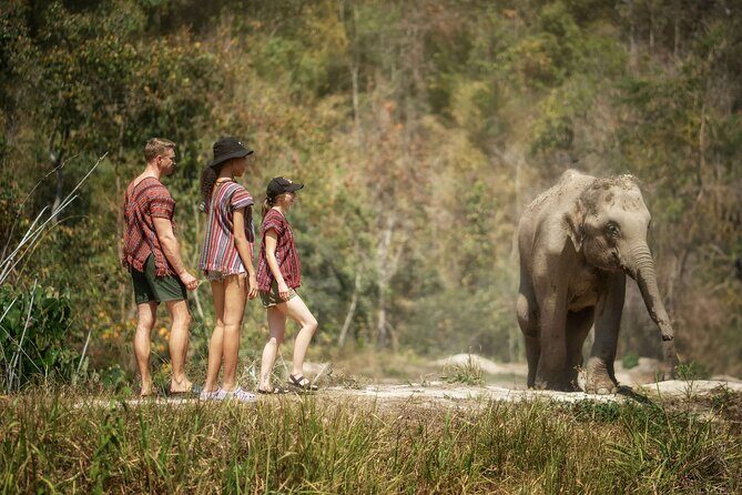 Elephant Sanctuary with Thai Cooking Experience in Chiang Mai - Practical Considerations