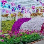 Elevate Your Senses: A Day of Wonders in Cameron Highlands! - In-Depth Breakdown of the Itinerary