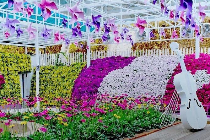 Elevate Your Senses: A Day of Wonders in Cameron Highlands! - In-Depth Breakdown of the Itinerary