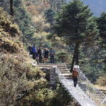 Elevate Your Spirit: A Day Hike through Shivapuri's Splendor - What to Expect from the Tour