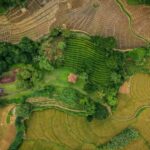 Ella: 3-Day Tour with Village Experience and Meals - Who Is This Tour Best For?