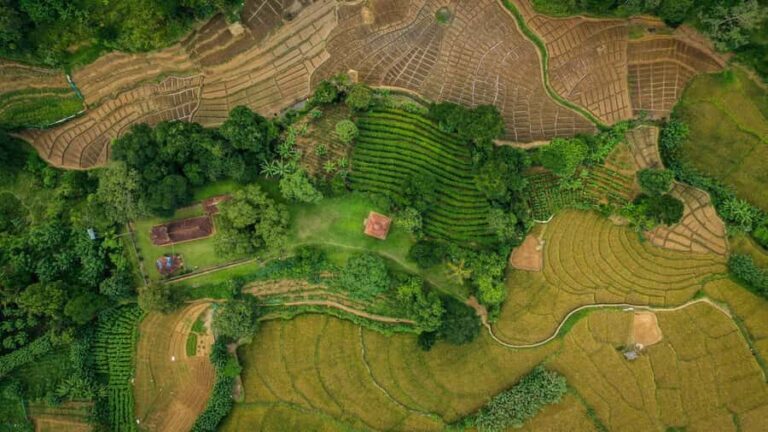 Ella: 3-Day Tour with Village Experience and Meals - Who Is This Tour Best For?