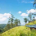 Ella: Curated Scenic Train Journey from Nanu Oya with Locals - The Itinerary Breakdown: What to Expect