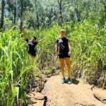 Ella Day Tour from Kandy with tea factory - In-Depth Look at the Itinerary