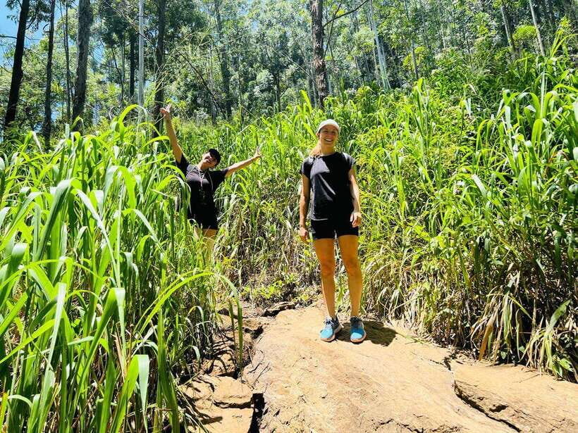 Ella Day Tour from Kandy with tea factory - In-Depth Look at the Itinerary