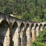 Ella Day Tour with Scenic Train Ride From Hikkaduwa - Who Is This Tour Best For?