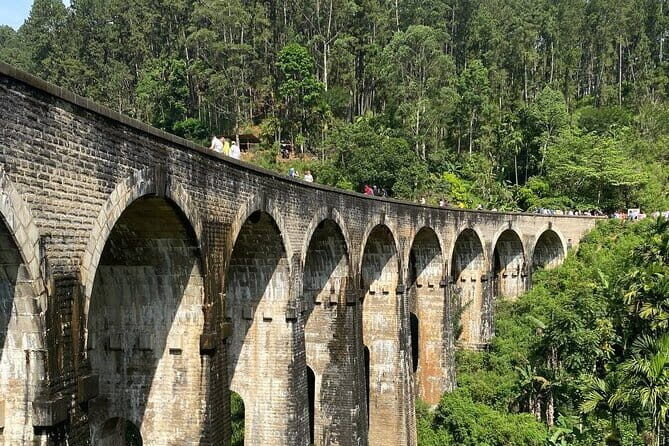 Ella Day Tour with Scenic Train Ride From Hikkaduwa - Who Is This Tour Best For?