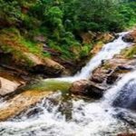 Ella Day Tour with Tea Factory & Cooking Class & Highlights - Practicalities and Value