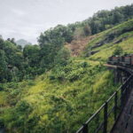 Ella Day Tour: with Tea Factory Visit from Galle - How the Itinerary Unfolds