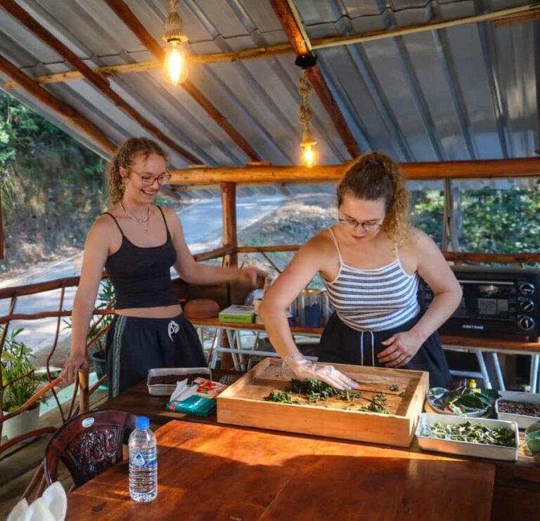 Ella: Hands-On Tea Making Experience with Tasting - An In-Depth Look at the Tour