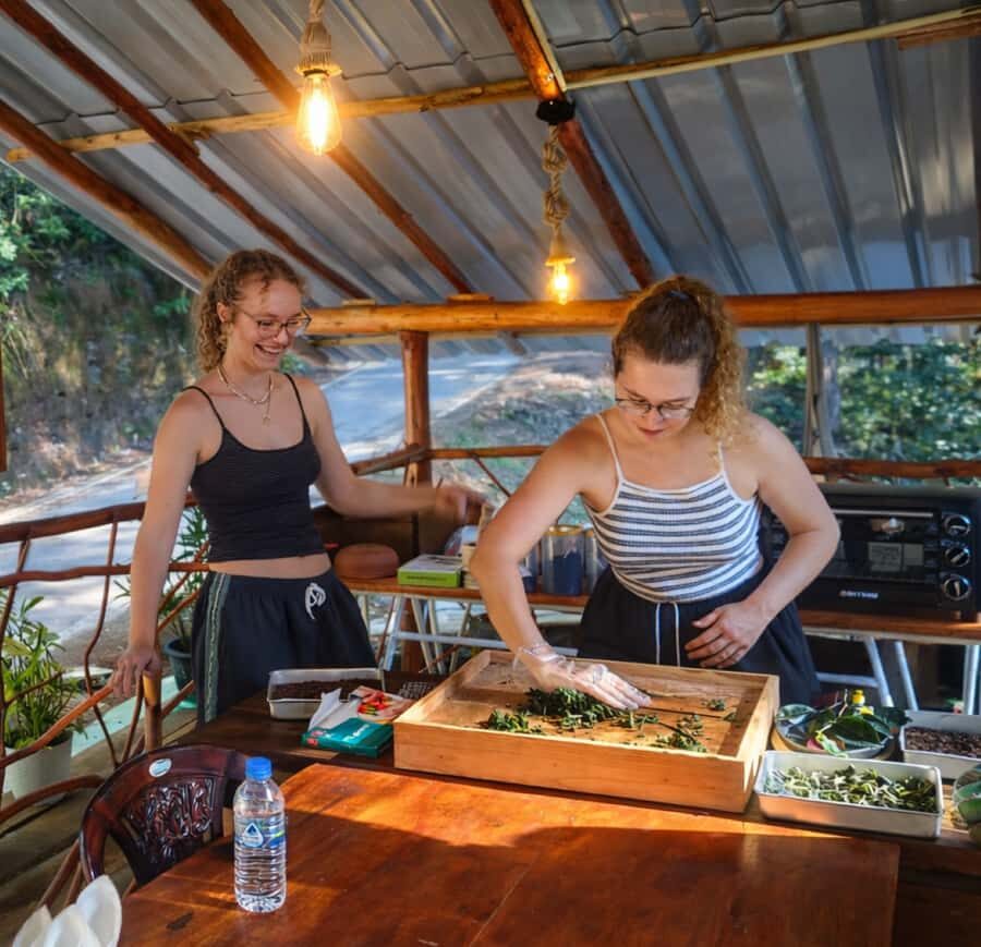 Ella: Hands-On Tea Making Experience with Tasting - An In-Depth Look at the Tour