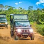 Ella Hotel to Yala National Park Transfers - Why Choose This Transfer?
