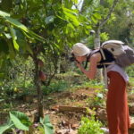 Ella: Nine Arch Spice Garden Tour with Traditional Lunch - Why This Tour Offers Great Value