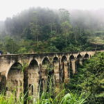 Ella One Day Tour by Tuk-Tuk - What Makes This Tour Stand Out?