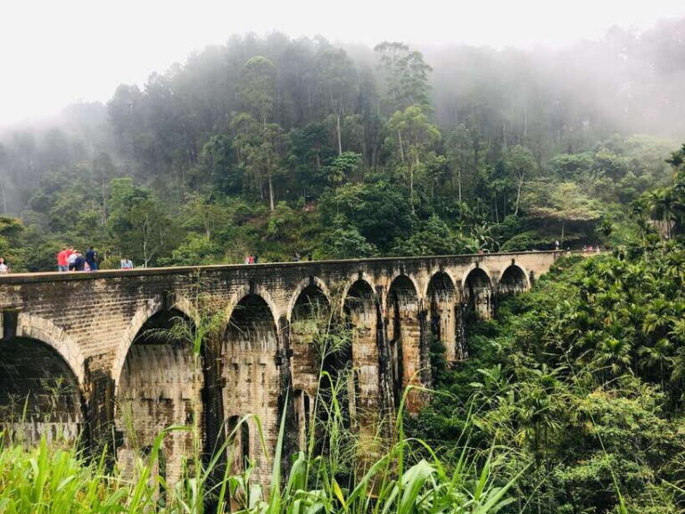 Ella One Day Tour by Tuk-Tuk - What Makes This Tour Stand Out