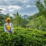 Ella: Pekoe Trail Stage 16 Guided hike (Ella-Demodara) - What to Expect on the Tour