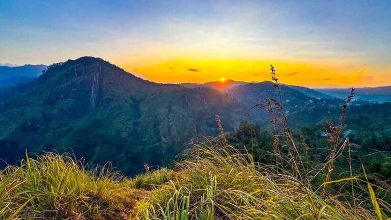 Ella: Sunset Tuk Tuk Tour with Little Adam's Peak Hike - The Value of This Tour