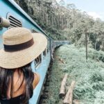 Ella to Ambewela Scenic Train Journey with Reserved Seats Ticket - An In-Depth Look at the Ella to Ambewela Scenic Train Journey