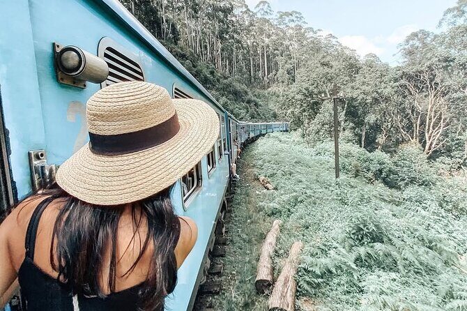 Ella to Ambewela Scenic Train Journey with Reserved Seats Ticket - An In-Depth Look at the Ella to Ambewela Scenic Train Journey