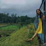 Ella to Colombo train tickets ( Reserved seats ) - Who is This Tour Best For?