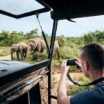 Ella to Tangalle/Hiriketiya/Mirissa/Galle Shuttle & Yala Safari - What’s Included & What’s Not