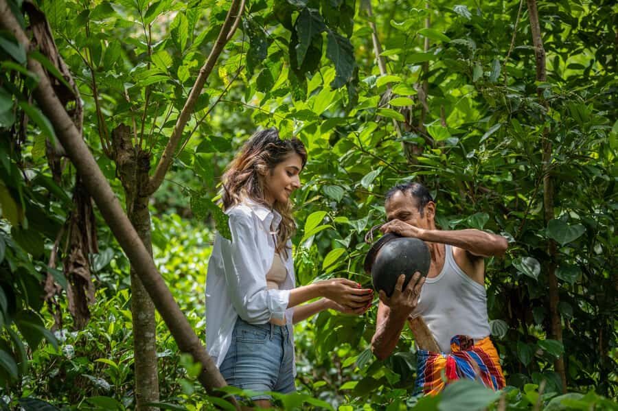 Ella: Traditional Village Life by Jeep with Cooking Class - Practical Details and Tips