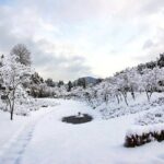 Elysian Gangchon Winter Ski with Nami Island Day Tour from Seoul - FAQs