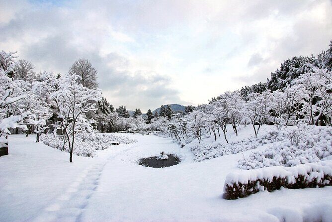 Elysian Gangchon Winter Ski with Nami Island Day Tour from Seoul - FAQs