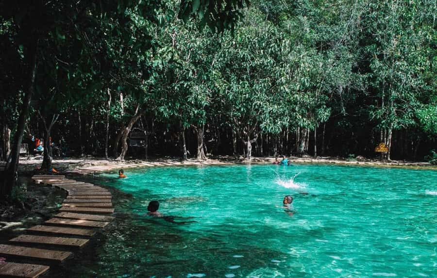 Emerald pool-hot springs -tiger cave by VIP van - What to Expect from the Day