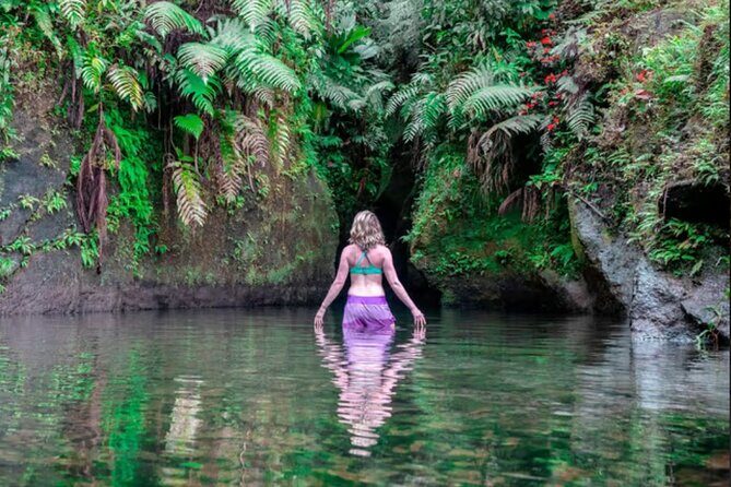 Emerald Pool Trafalgar Falls Mega Fun Tour - Exploring Dominica’s Top Attractions  