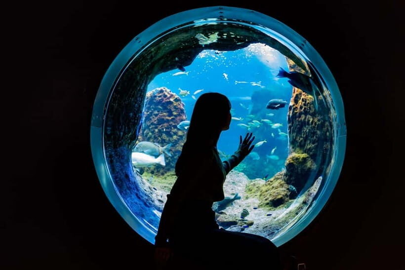 Enoshima Aquarium: Admission Ticket - Is the Price Worth It?