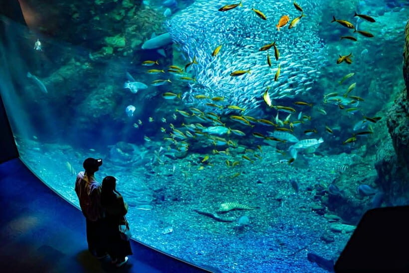 Enoshima Aquarium: Admission Ticket - The Layout and Highlights