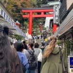 Enoshima Island Walking Tour Shrines Sea Views And Culture - The Practicalities and Value