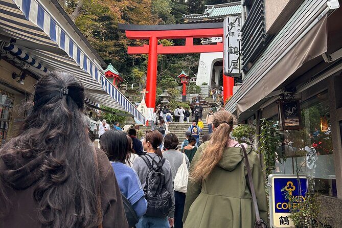 Enoshima Island Walking Tour Shrines Sea Views And Culture - The Practicalities and Value