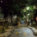 Entopia Butterfly and Nature Discovery Park Entry Ticket Penang - Final Thoughts: Is Entopia Worth Visiting?