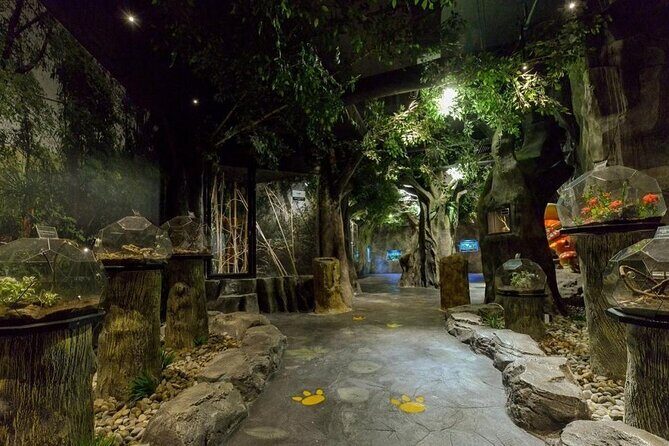 Entopia Butterfly and Nature Discovery Park Entry Ticket Penang - Who Will Love This Experience?