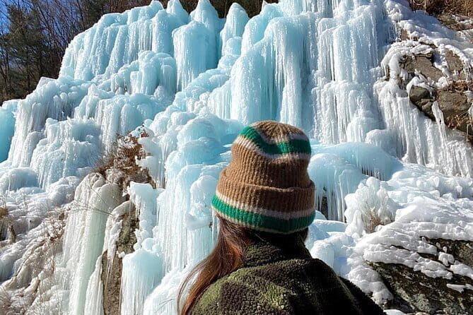 Eobi Ice Valley Nami Island and Gangchon Rail Park Seoul - What We Love About This Tour