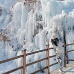 Eobi Ice Valley, Nami Island, Morning Calm and Rail Bike Seoul - What makes this tour stand out