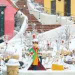 Eobi Ice Valley, Nami Island, Petite France and Morning Calm Tour - Who Is This Tour Best For?