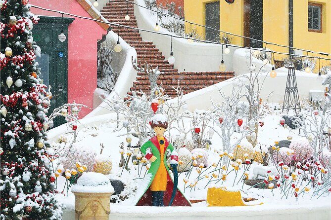 Eobi Ice Valley, Nami Island, Petite France and Morning Calm Tour - Who Is This Tour Best For?