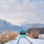 Eobi Ice Valley, Nami Island & Railbike from Seoul (opt. Garden) - Nami Island: Korea’s Iconic Tree-Lined Retreat