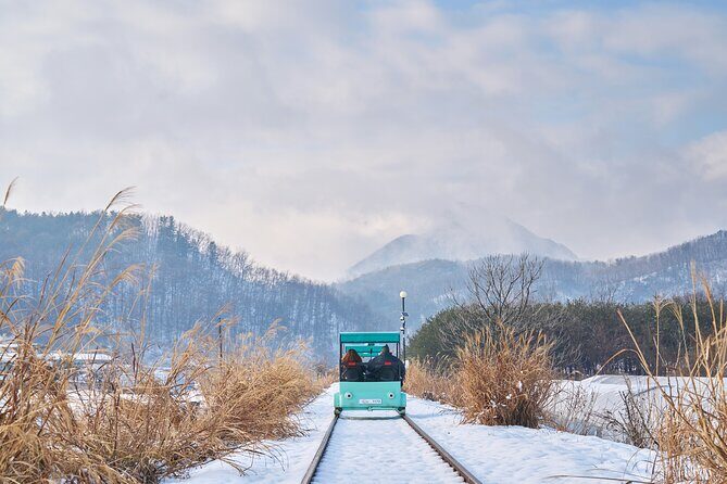 Eobi Ice Valley, Nami Island & Railbike from Seoul (opt. Garden) - Nami Island: Korea’s Iconic Tree-Lined Retreat
