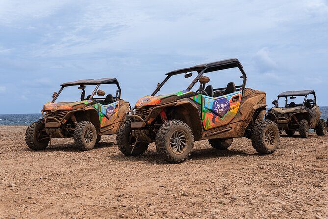 Epic UTV west coast adventure - Authentic Experiences and Hidden Gems