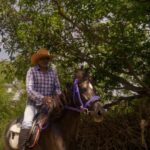 Equestrian Escape: Horse Safari Adventure - What Does the Tour Include?