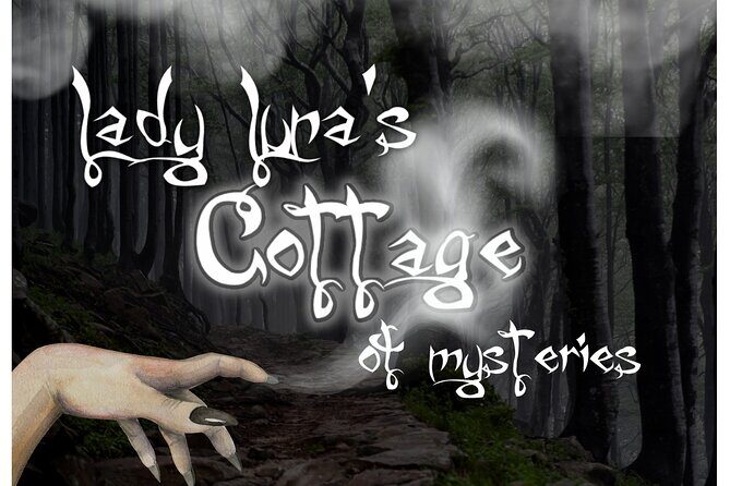 Escape Room Experience Area 54 - Practical Details and Logistics