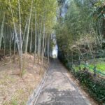 Escape the City Tea, Calligraphy and Tea Fields in Rural Kyoto - Final Thoughts