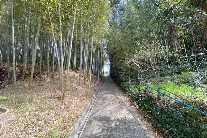 Escape the City Tea, Calligraphy and Tea Fields in Rural Kyoto - Final Thoughts