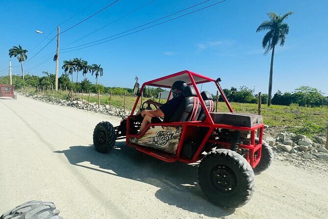 Escape to Buggies Adventure and Puerto Plata City Tour with Lunch - Tasting the Dominican Flavors: The Included Lunch